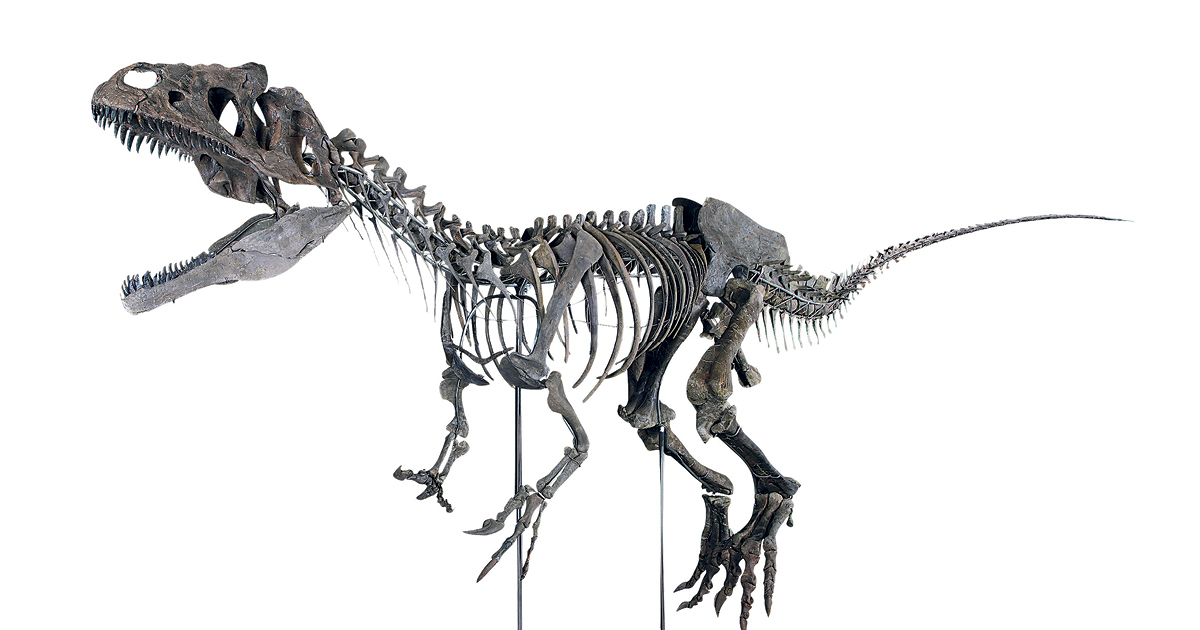 Paleontologia Geral  Colecionadores de Ossos
