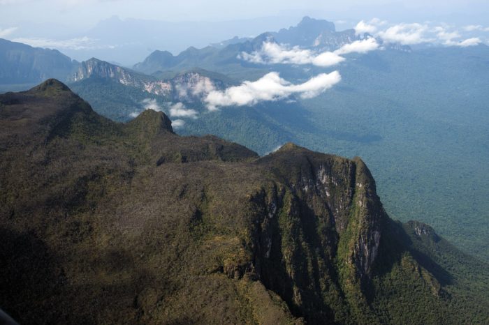 En Serra do Imeri, en el estado brasileño de Amazonas, se alza la montaña conocida como Pico da Neblina...