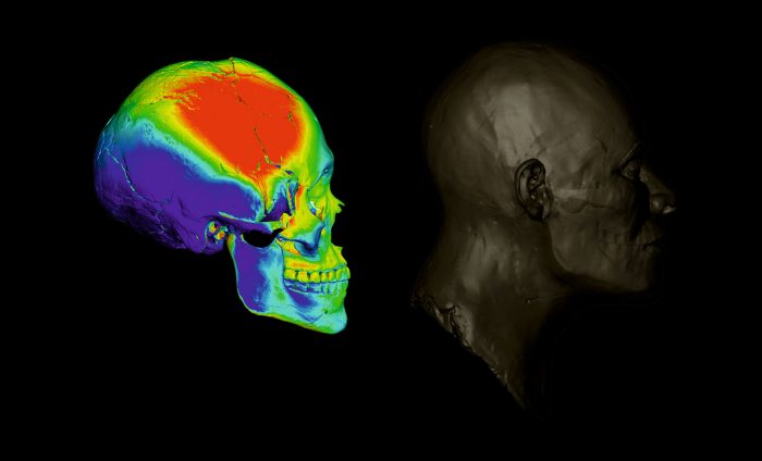 Processo de reconstrução facial a partir de crânio encontrado na Lapa do Santo, de homem que viveu há cerca de 9 mil anos (arte 3D André Strauss, a partir de reconstrução por Caroline Wilkinson)