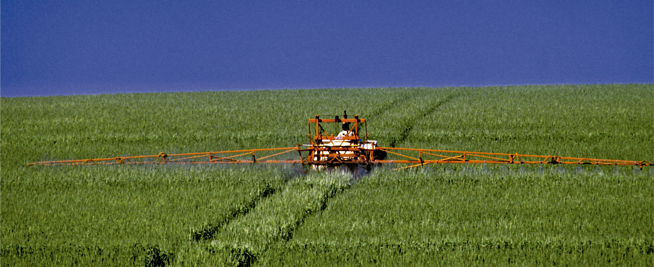 Pesticides In The Balance Revista Pesquisa Fapesp - 