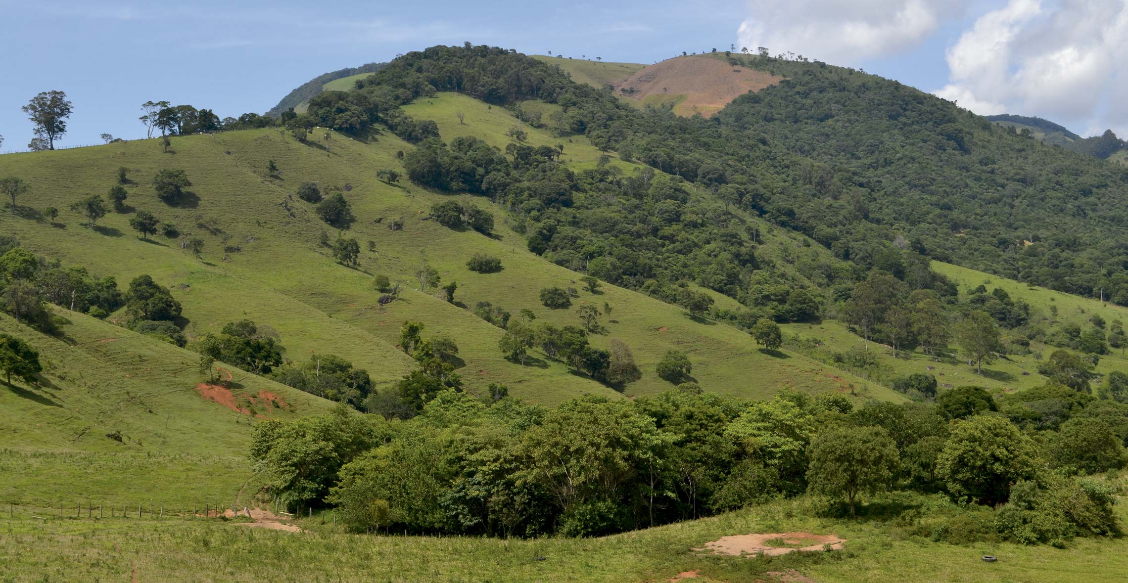 Increasing fragmentation of forest cover in Brazil's Legal