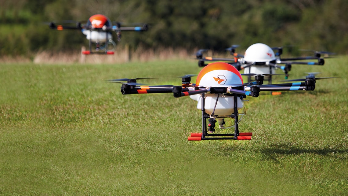 Drone jogar veneno em pastagem
