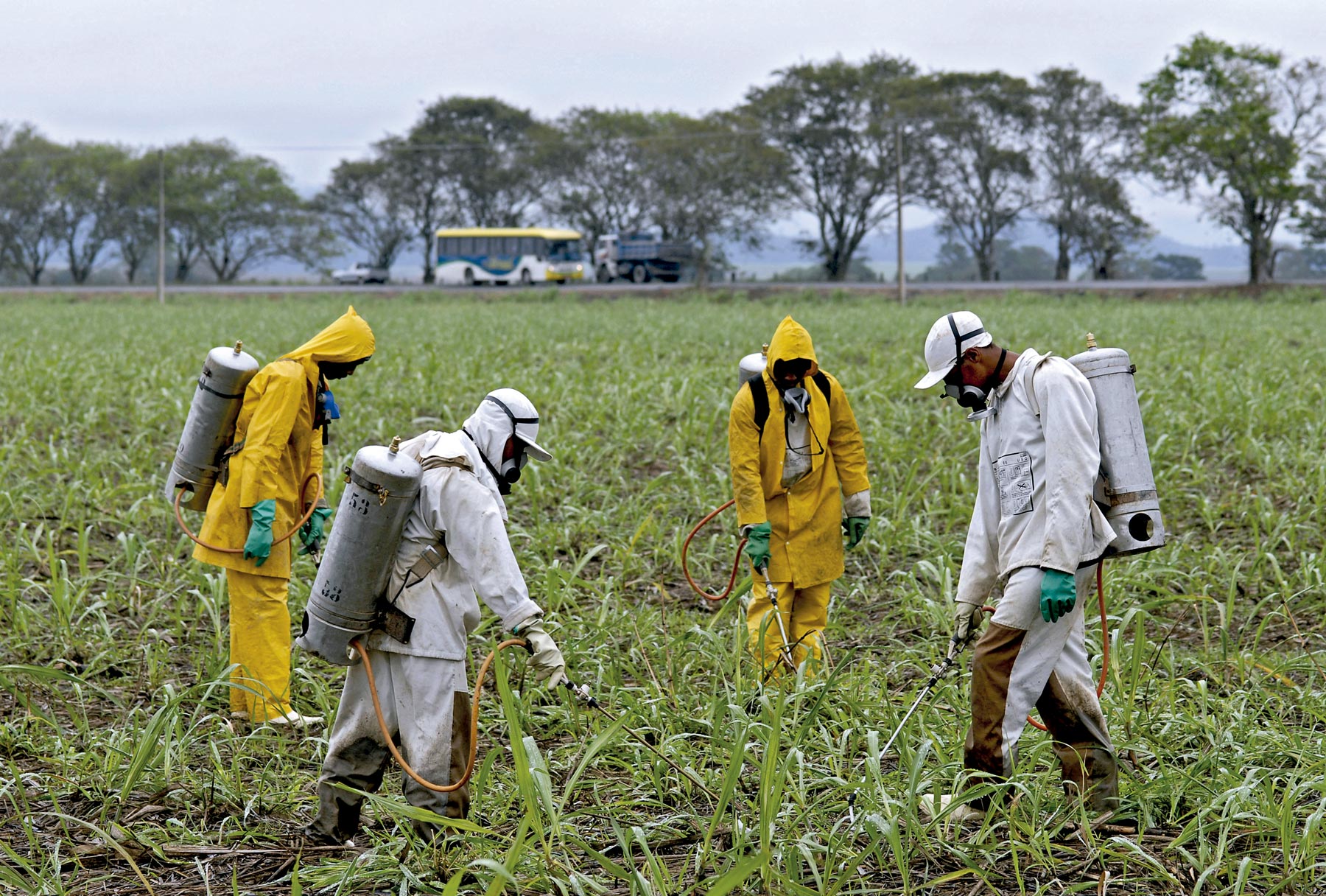 018-023_CAPA_Agrot%C3%B3xicos_271-1800px-3