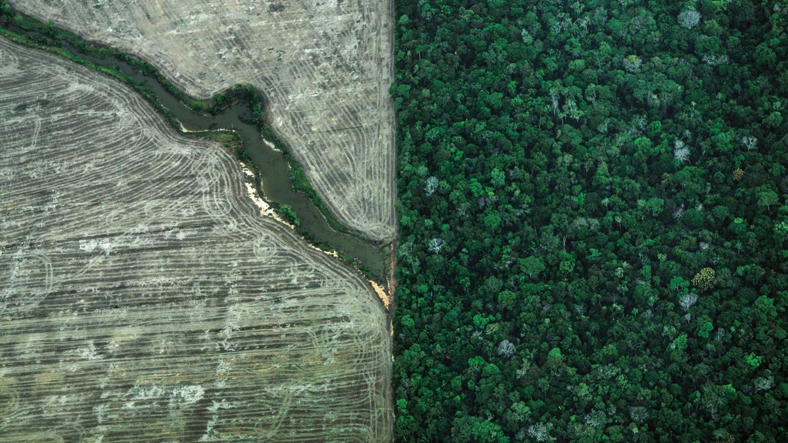 En la Cuenca Amazónica, récord negativo de lluvias en más de 40 años