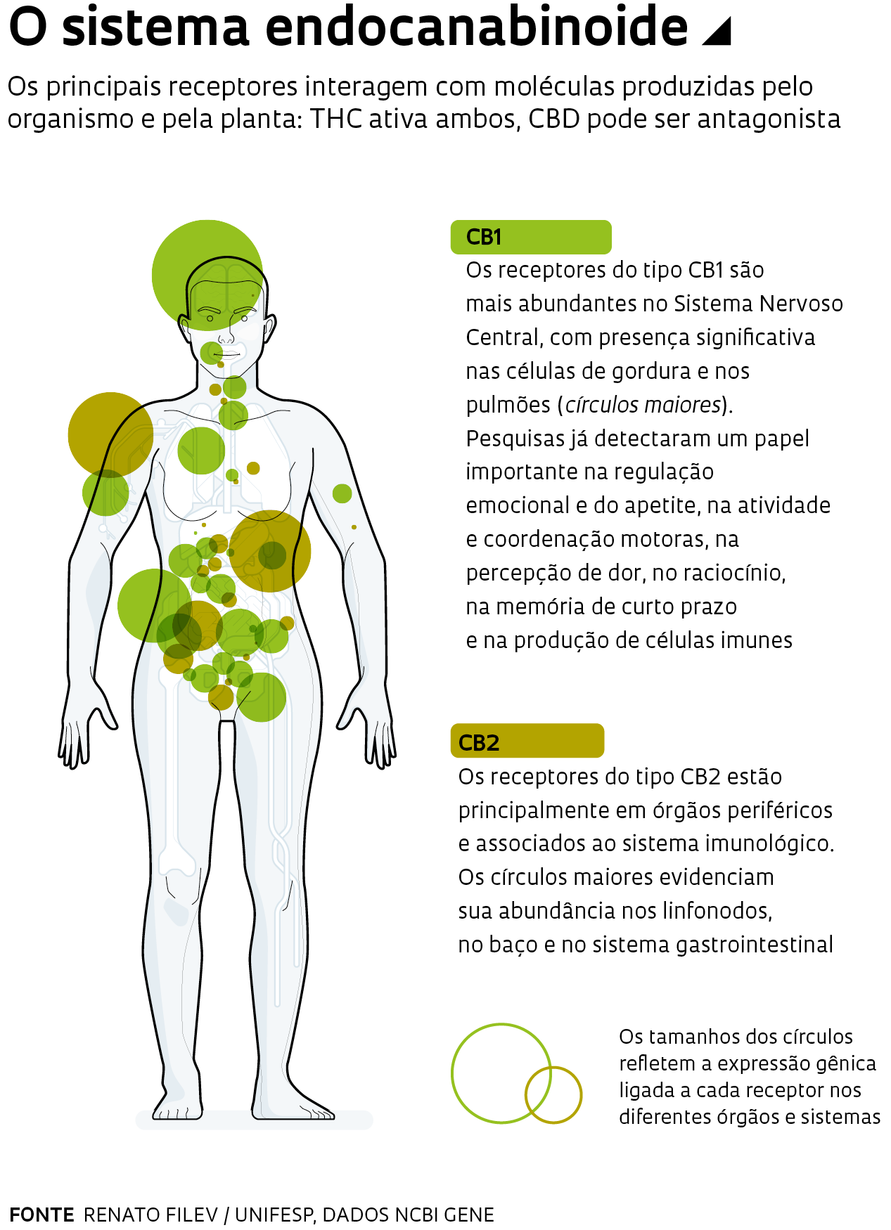 Estrutura química da anandamida e do 2-glicerol araquidonil (2-AG)