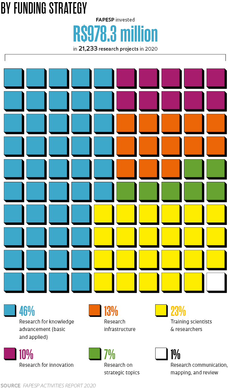 Annual Report 2021 - Maria Souto Vidigal Foundation by Fundação