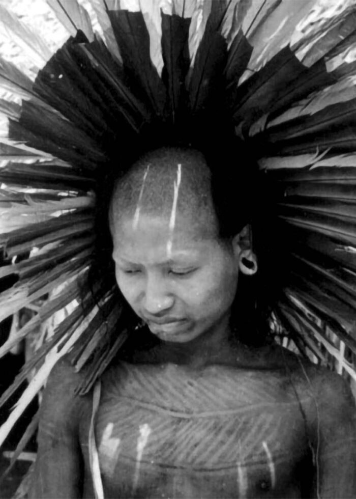 Other photos taken by Frikel: a Kayapó-Xikrin man wearing a feathered headdress, in 1963...