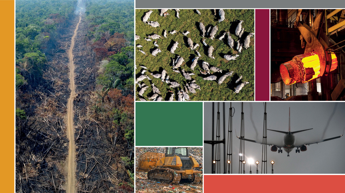 Brazil’s carbon footprint determined by deforestation and agriculture – Revista Pesquisa Fapesp
